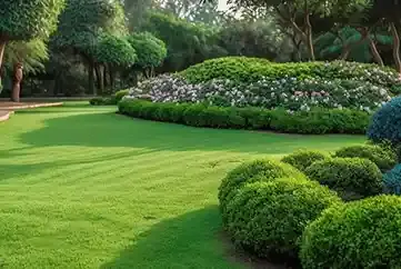 Landscape Garden