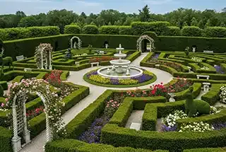 Maze Garden 