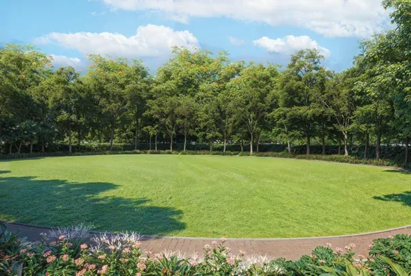Cricket Garden