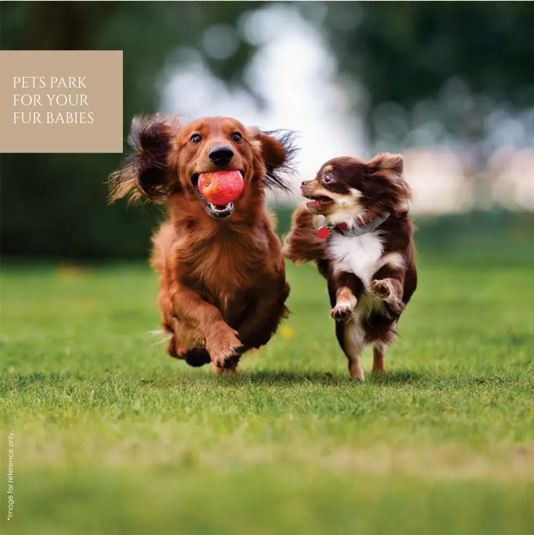 Aspire Centurian Park Amenities 3