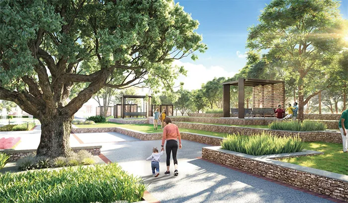 Landscaped Gardens