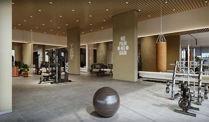 Gymnasium
