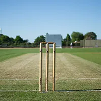 Cricket pitch at Clove County Noida